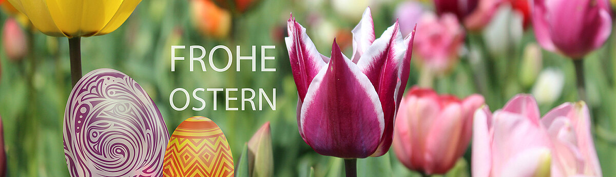 FroheOstern_blumenbaerGmbH.jpg  