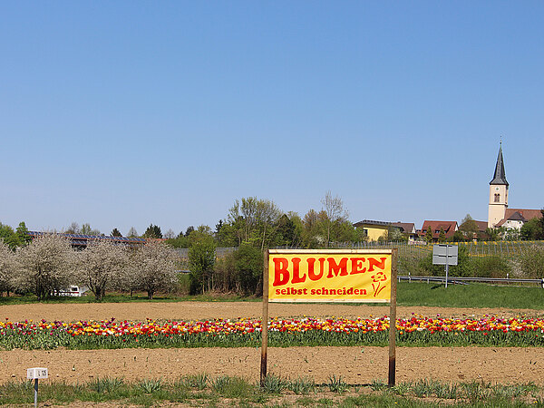 Ballrechten_Standort.jpg  